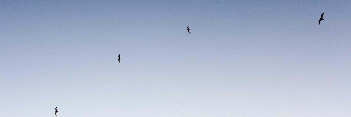 Abstract AI background